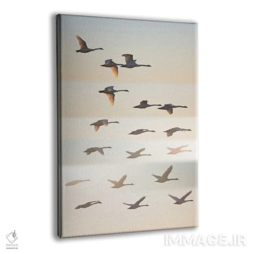 تابلو دکوراتیو آن سوی خورشید اثر لیف لون دال - نمای پرسپکتیو محصول