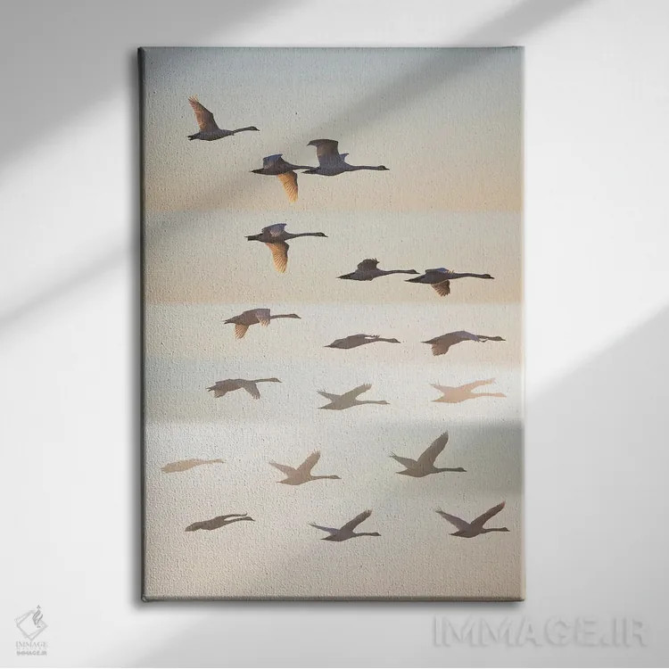 تابلو دکوراتیو آن سوی خورشید اثر لیف لون دال - نمای روبهرو روی دیوار