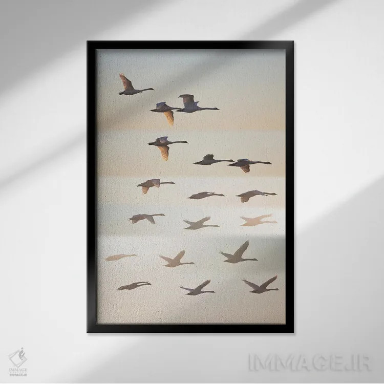 تابلو دکوراتیو آن سوی خورشید اثر لیف لون دال - نمای قابدار مشکی