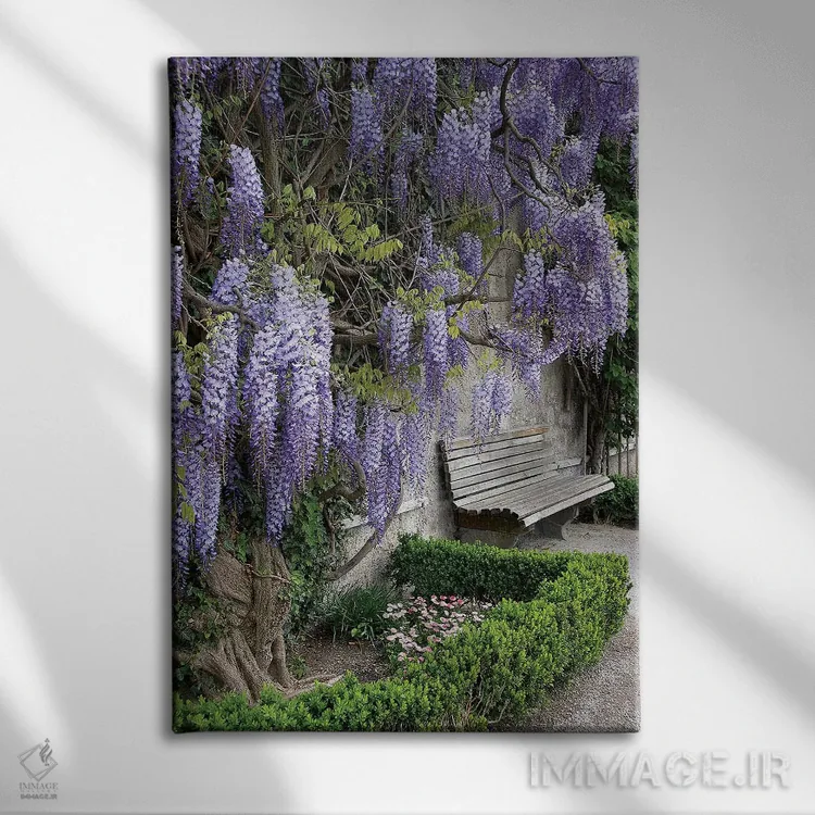 تابلو دکوراتیو Austria, Salzburg Stadt, Salzburg, Wisteria In Mirab… اثر لیزا اس. انگلبریخت - نمای روبهرو روی دیوار