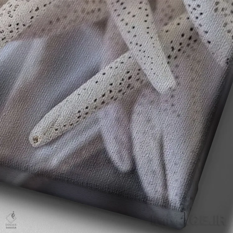 تابلو دکوراتیو USA,ستاره عنکبوتی بزرگ سفید، آمریکا اثر لیزا اس. انگلبریخت - نمای نزدیک بافت بوم