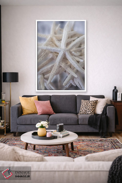 تابلو دکوراتیو USA,ستاره عنکبوتی بزرگ سفید، آمریکا اثر لیزا اس. انگلبریخت - D1W