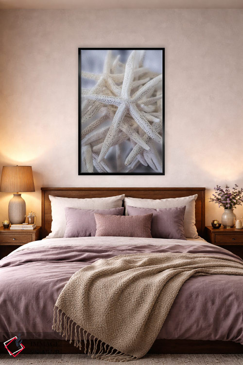 تابلو دکوراتیو USA,ستاره عنکبوتی بزرگ سفید، آمریکا اثر لیزا اس. انگلبریخت - D3B