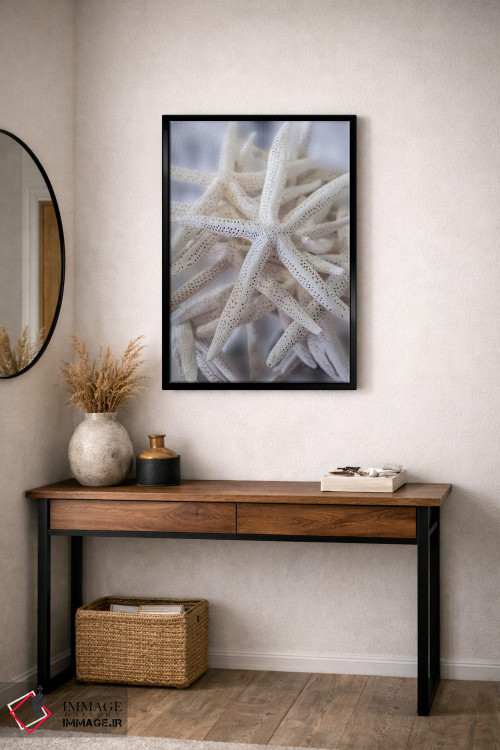 تابلو دکوراتیو USA,ستاره عنکبوتی بزرگ سفید، آمریکا اثر لیزا اس. انگلبریخت - D4B