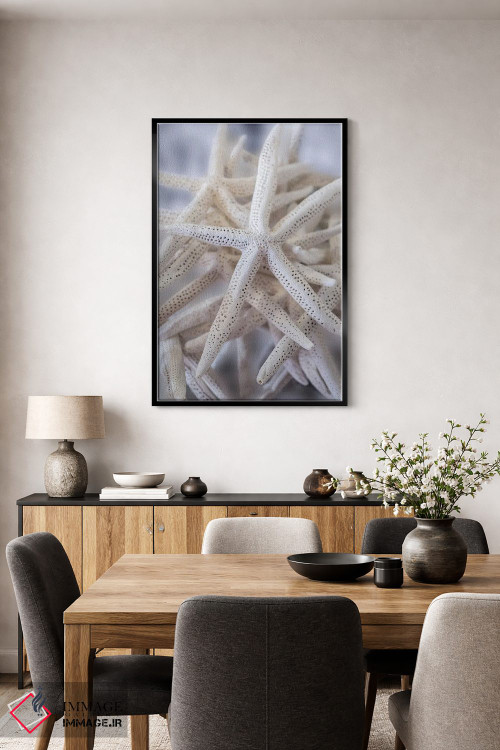 تابلو دکوراتیو USA,ستاره عنکبوتی بزرگ سفید، آمریکا اثر لیزا اس. انگلبریخت - D5B