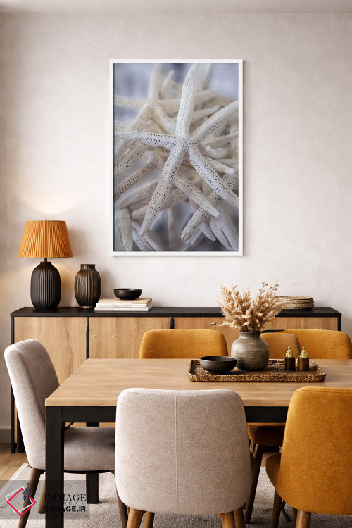 تابلو دکوراتیو USA,ستاره عنکبوتی بزرگ سفید، آمریکا اثر لیزا اس. انگلبریخت - D6W