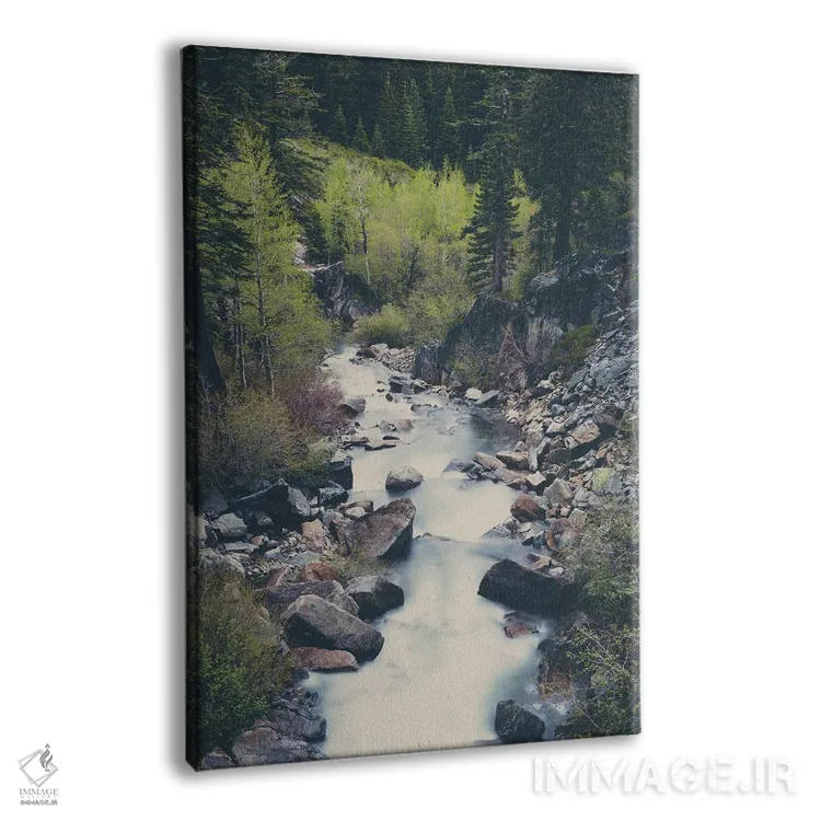 تابلو دکوراتیو رودخانه کوهستانی در میان درختان بالای دریاچه تاهو جاری است اثر لورا ایوانز - نمای پرسپکتیو محصول