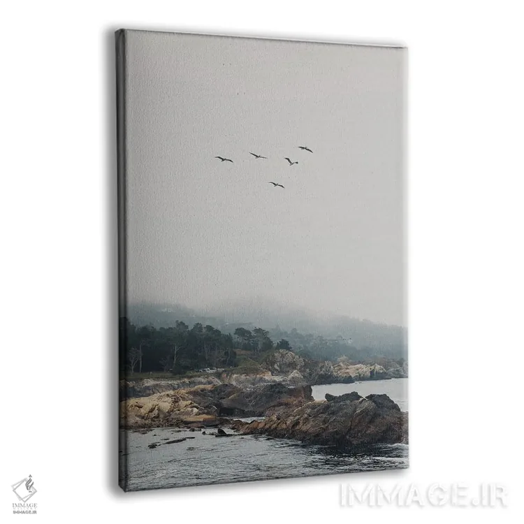 تابلو دکوراتیو پوینت لوبوس با پرندگان در حال پرواز اثر لورا ایوانز - نمای پرسپکتیو محصول
