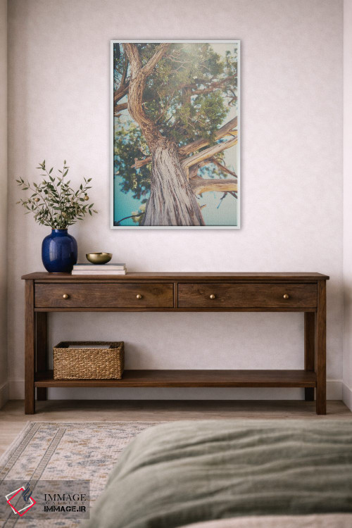 تابلو دکوراتیو نگاه رو به بالا میان برگ های درخت سرو کوهی اثر لورا ایوانز - D3W