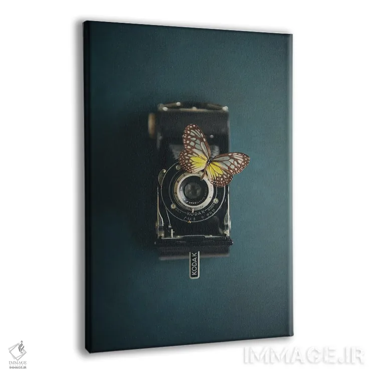 تابلو دکوراتیو یک دوربین قدیمی و یک پروانه اثر لورا ایوانز - نمای پرسپکتیو محصول