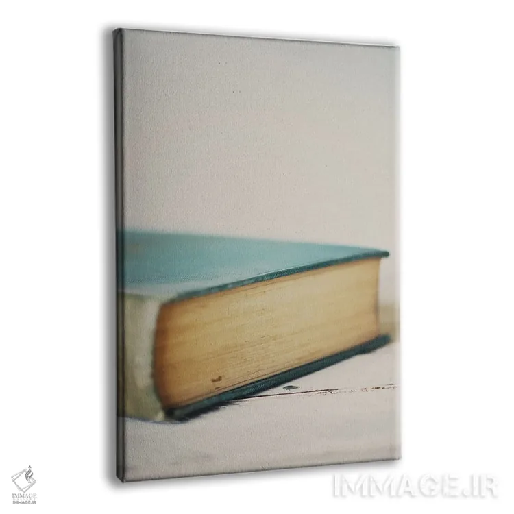 تابلو دکوراتیو یک جلد کتاب اثر لورا ایوانز - نمای پرسپکتیو محصول