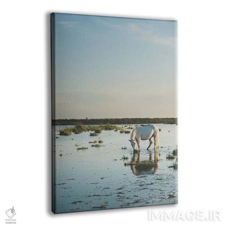 تابلو دکوراتیو اسب های کامارگ XXI اثر لورا ایوانز - نمای پرسپکتیو محصول