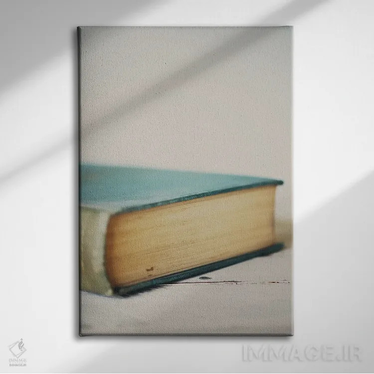 تابلو دکوراتیو یک جلد کتاب اثر لورا ایوانز - نمای روبهرو روی دیوار