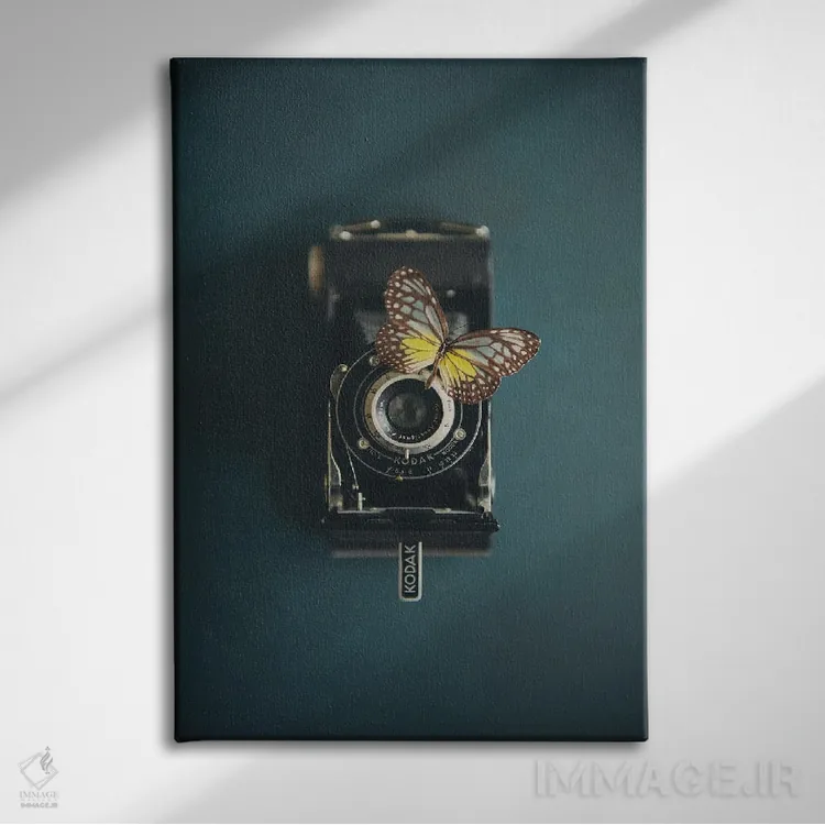 تابلو دکوراتیو یک دوربین قدیمی و یک پروانه اثر لورا ایوانز - نمای روبهرو روی دیوار