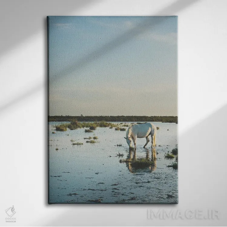 تابلو دکوراتیو اسب های کامارگ XXI اثر لورا ایوانز - نمای روبهرو روی دیوار