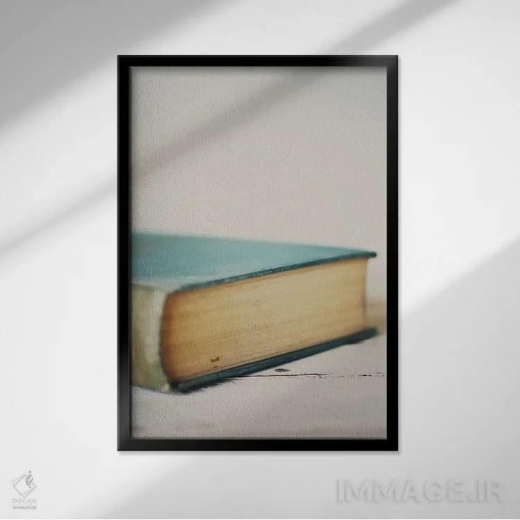 تابلو دکوراتیو یک جلد کتاب اثر لورا ایوانز - نمای قابدار مشکی