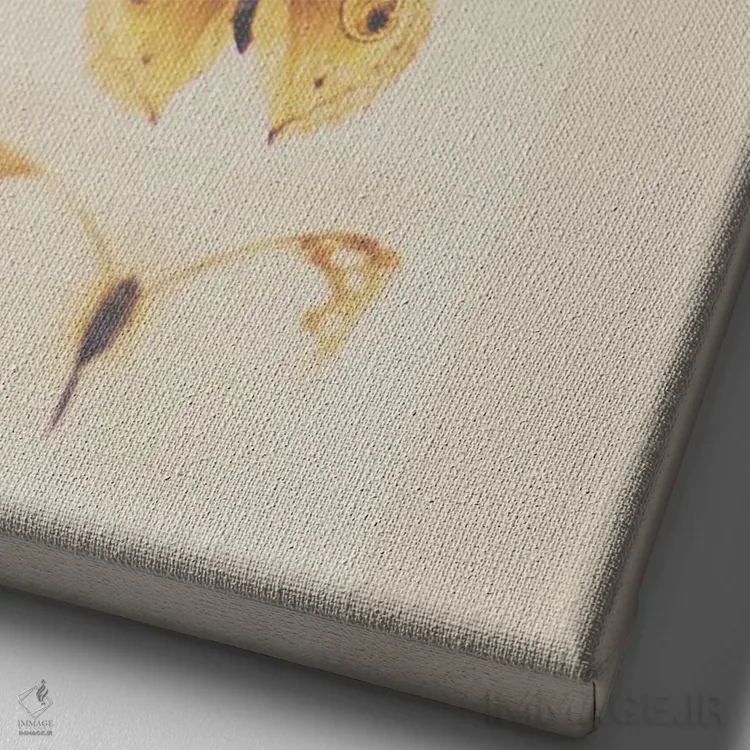 تابلو دکوراتیو تبدیل از کرم ابریشم به پروانه اثر لورا ایوانز - نمای نزدیک بافت بوم