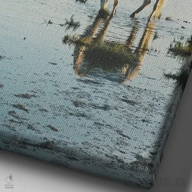 تابلو دکوراتیو اسب های کامارگ XXI اثر لورا ایوانز - نمای نزدیک بافت بوم