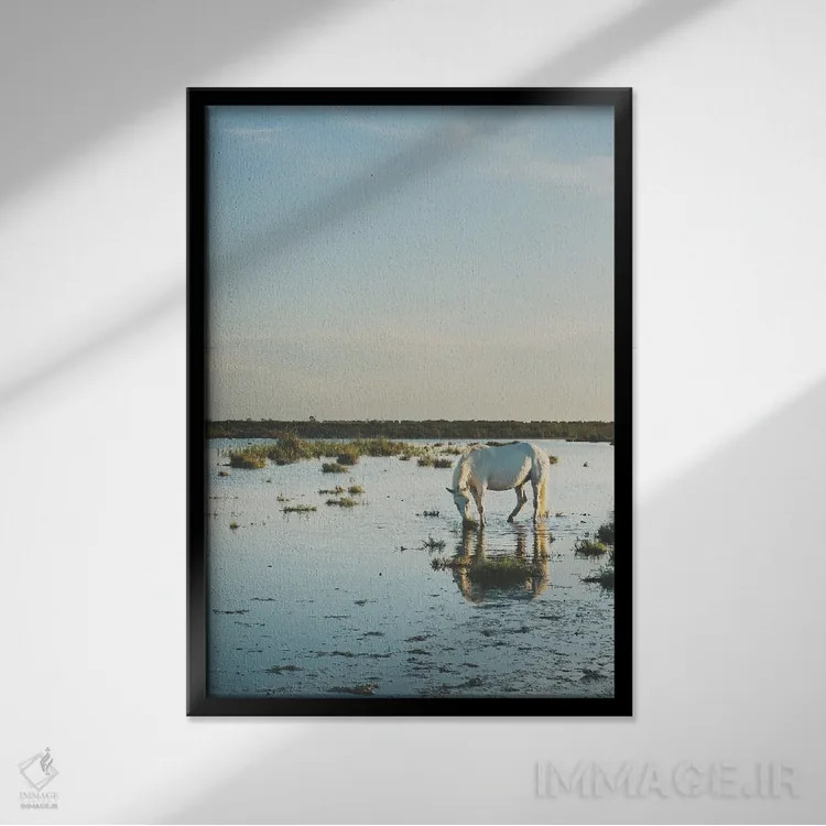 تابلو دکوراتیو اسب های کامارگ XXI اثر لورا ایوانز - نمای قابدار مشکی