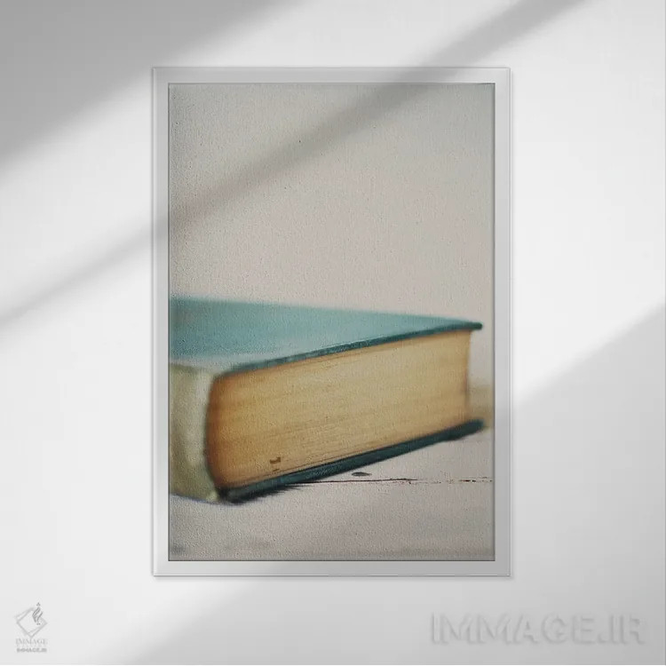 تابلو دکوراتیو یک جلد کتاب اثر لورا ایوانز - نمای قابدار سفید