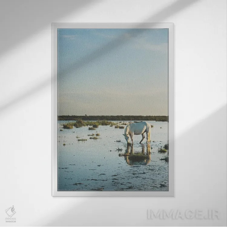 تابلو دکوراتیو اسب های کامارگ XXI اثر لورا ایوانز - نمای قابدار سفید