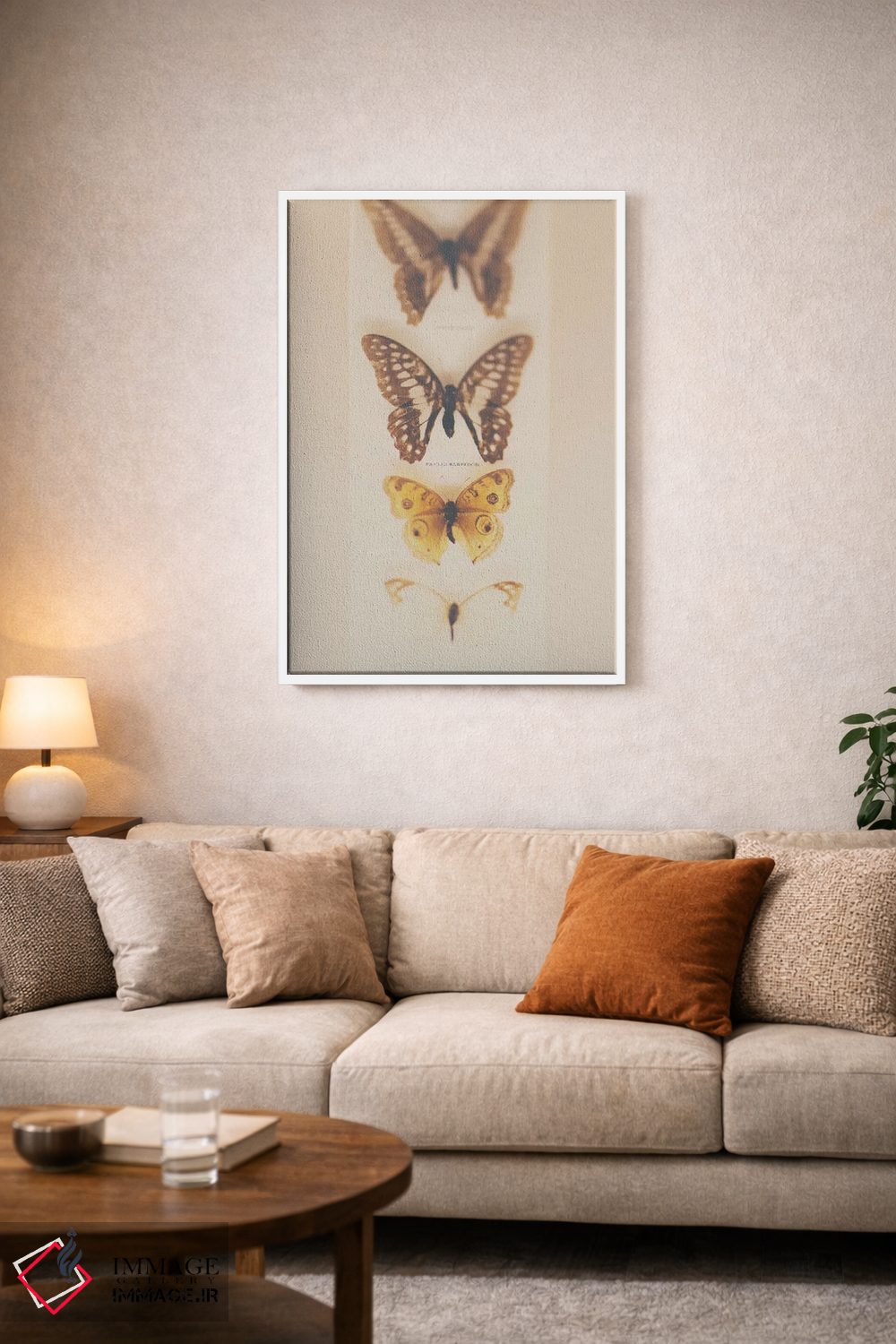 تابلو دکوراتیو تبدیل از کرم ابریشم به پروانه اثر لورا ایوانز - D3W