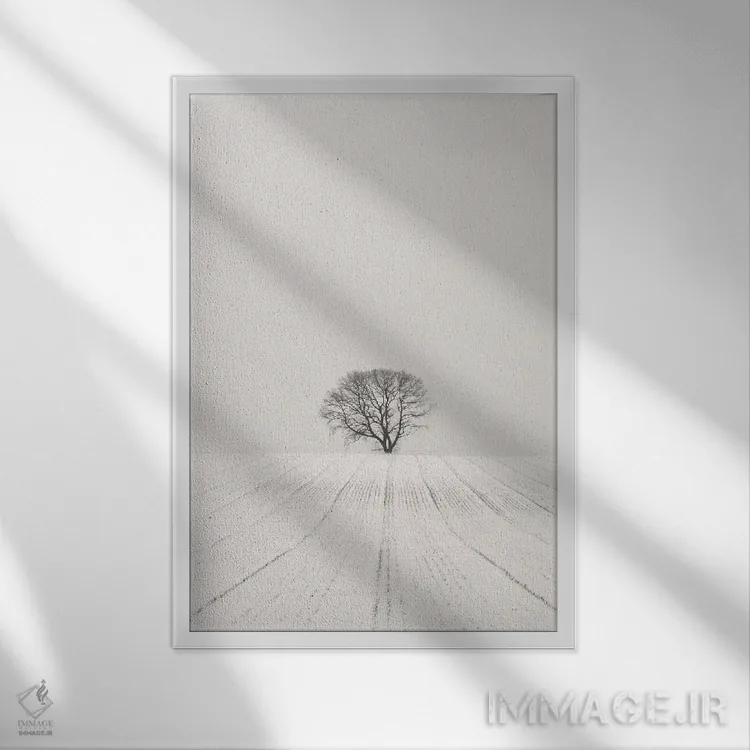 تابلو دکوراتیو کویر سفید اثر لنا وایسبک - نمای قابدار سفید