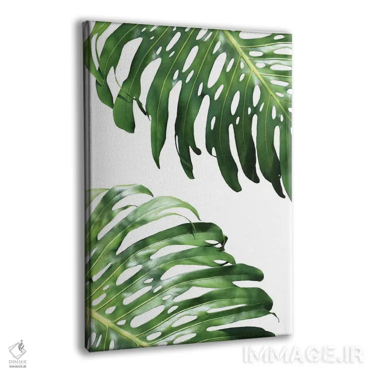 تابلو دکوراتیو فیلودندرون دوتایی اثر لکسی گر ایر - نمای پرسپکتیو محصول