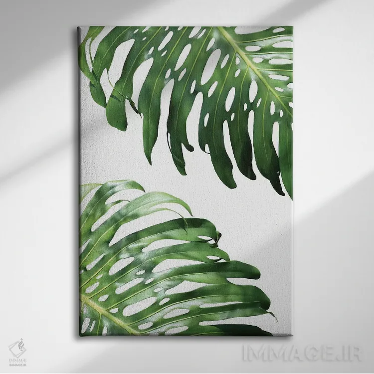 تابلو دکوراتیو فیلودندرون دوتایی اثر لکسی گر ایر - نمای روبهرو روی دیوار