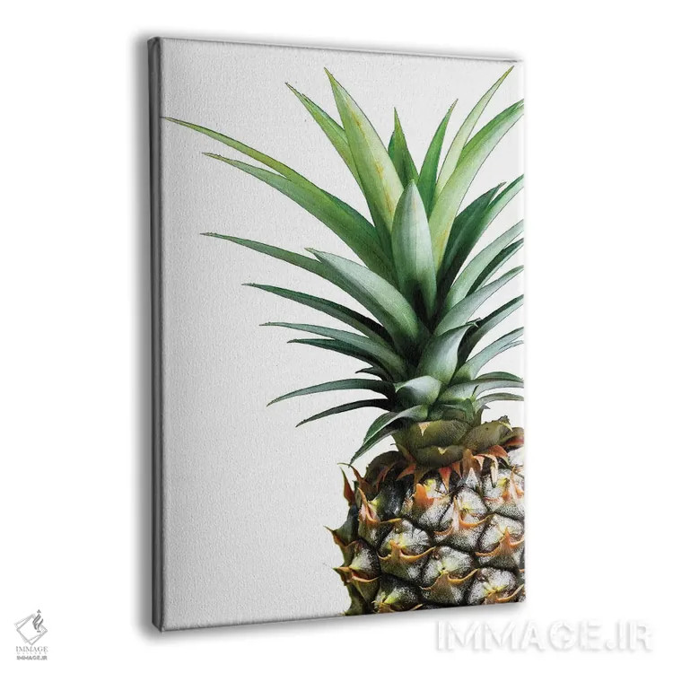 تابلو مینیمال آناناس اثر لکسی گر ایر - نمای پرسپکتیو محصول