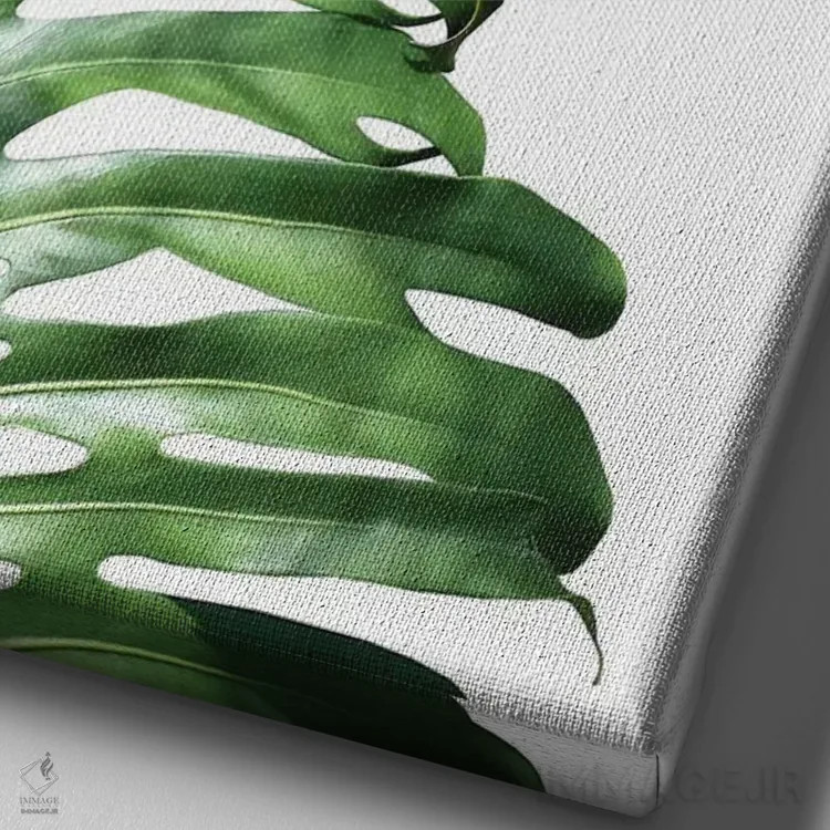 تابلو دکوراتیو فیلودندرون دوتایی اثر لکسی گر ایر - نمای نزدیک بافت بوم