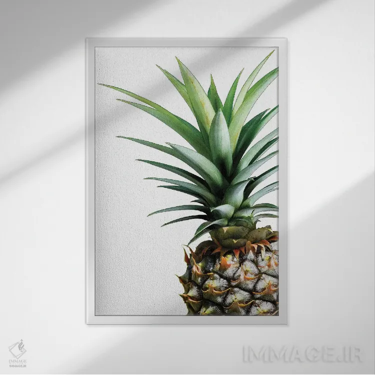 تابلو مینیمال آناناس اثر لکسی گر ایر - نمای قابدار سفید