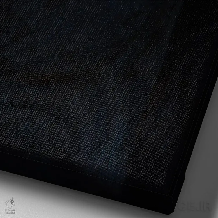 تابلو دکوراتیو صیـد روز اثر لیزا فالکن سترن - نمای نزدیک بافت بوم