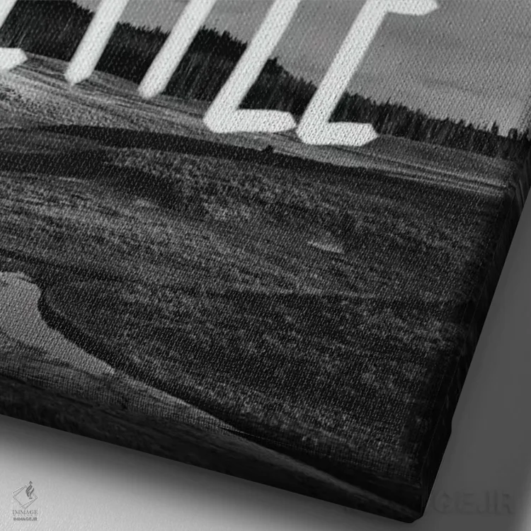 تابلو دکوراتیو هرگز قانع نشو اثر لیا فلورس - نمای نزدیک بافت بوم