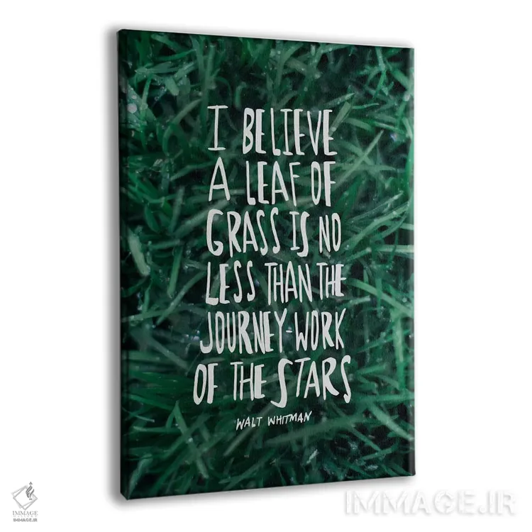 تابلو دکوراتیو برگ علف اثر لیا فلورس - نمای پرسپکتیو محصول