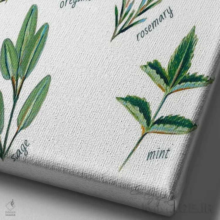 تابلو دکوراتیو سبزیجات معطر اثر لورل گرینفیلد - نمای نزدیک بافت بوم