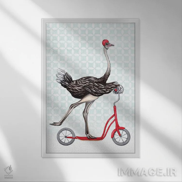 تابلو دکوراتیو شترمرغ روی دوچرخه اثر آملی لگو - نمای قابدار سفید