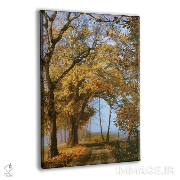 تابلو دکوراتیو راهی به سوی تو اثر لارس فان ده خور - نمای پرسپکتیو محصول