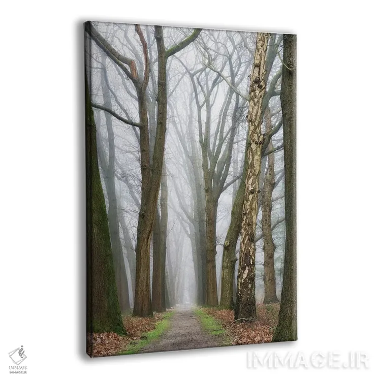 تابلو دکوراتیو در پایان، آغازی نو خواهی یافت اثر لارس فان ده خور - نمای پرسپکتیو محصول