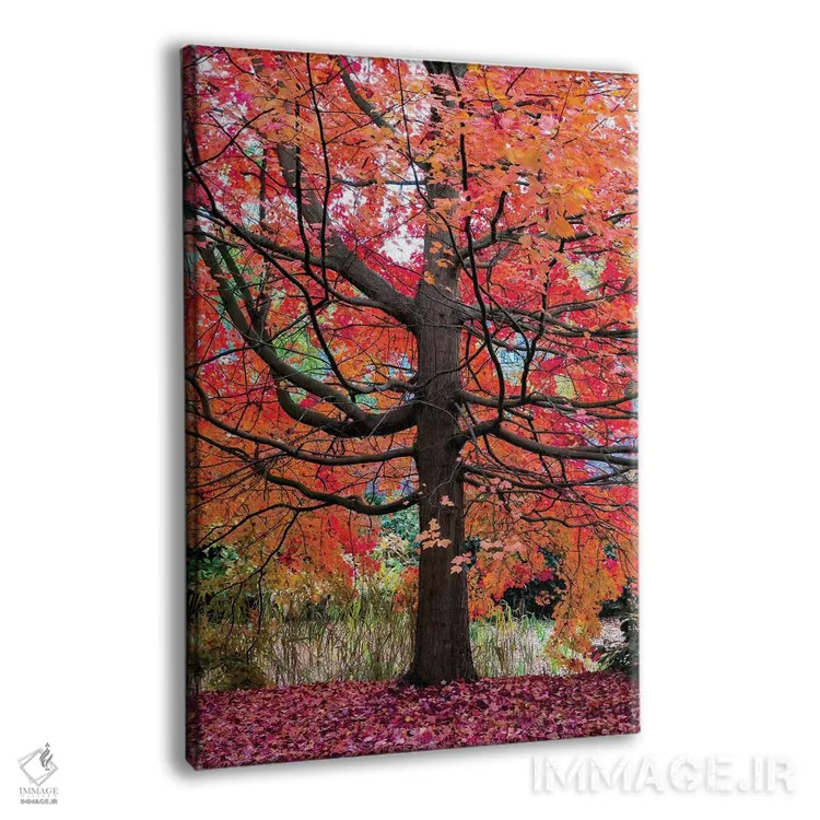 تابلو دکوراتیو افرا شگفت انگیز اثر لارس فان ده خور - نمای پرسپکتیو محصول