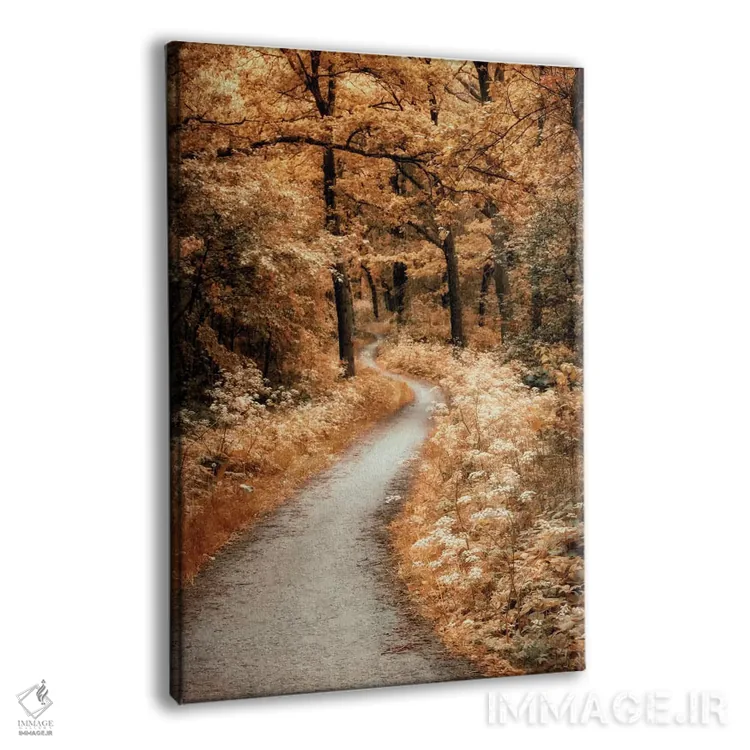 تابلو دکوراتیو مسیر پرپیچ وخم اثر لارس فان ده خور - نمای پرسپکتیو محصول