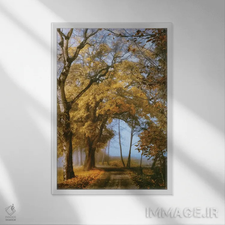 تابلو دکوراتیو راهی به سوی تو اثر لارس فان ده خور - نمای قابدار سفید