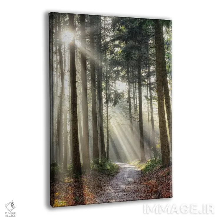 تابلو دکوراتیو پیچیدن به چپ می تواند درست باشد اثر لارس فان ده خور - نمای پرسپکتیو محصول