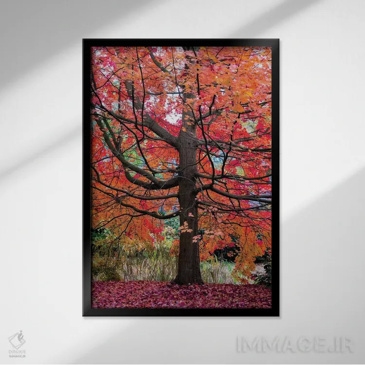 تابلو دکوراتیو افرا شگفت انگیز اثر لارس فان ده خور - نمای قابدار مشکی