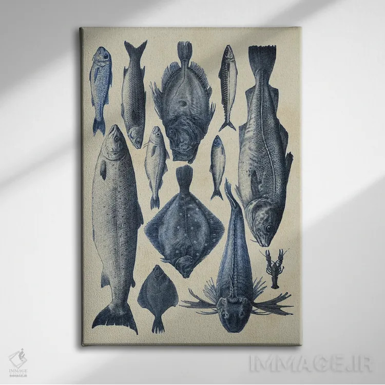 تابلو دکوراتیو نمودار ماهی آبی ۱ اثر آلیشیا لانگلی - نمای روبهرو روی دیوار