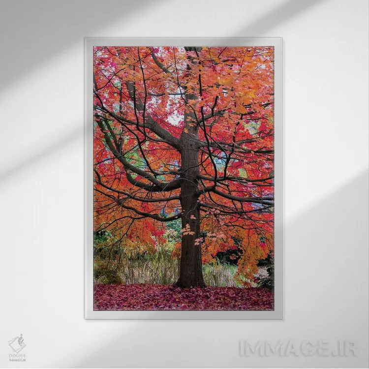 تابلو دکوراتیو افرا شگفت انگیز اثر لارس فان ده خور - نمای قابدار سفید