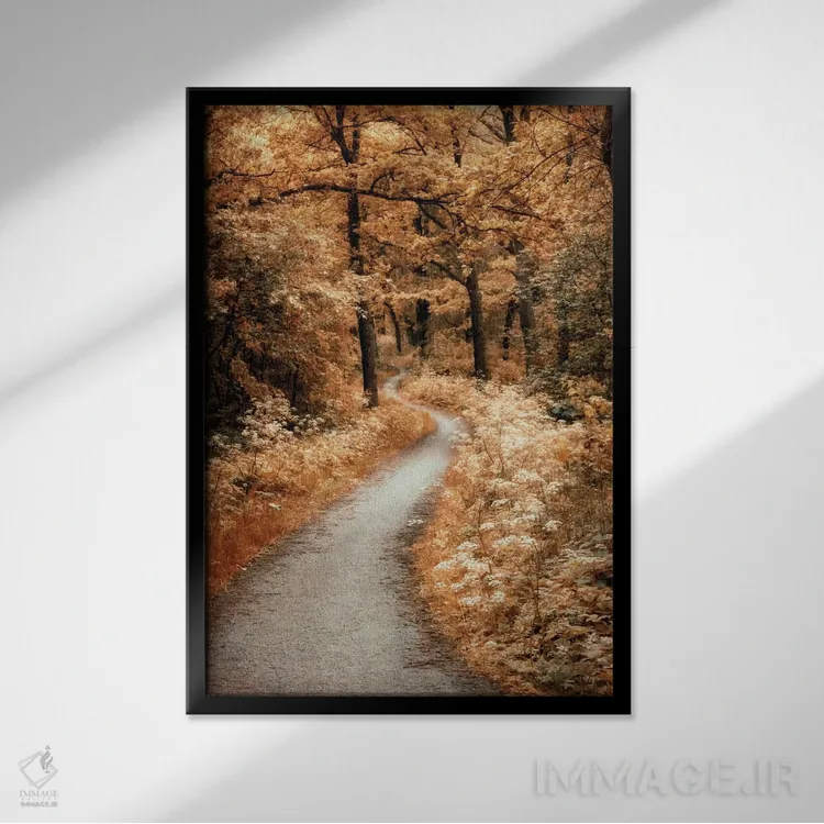 تابلو دکوراتیو مسیر پرپیچ وخم اثر لارس فان ده خور - نمای قابدار مشکی