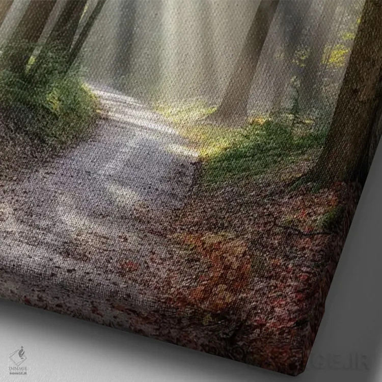 تابلو دکوراتیو پیچیدن به چپ می تواند درست باشد اثر لارس فان ده خور - نمای نزدیک بافت بوم