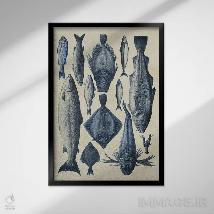 تابلو دکوراتیو نمودار ماهی آبی ۱ اثر آلیشیا لانگلی - نمای قابدار مشکی