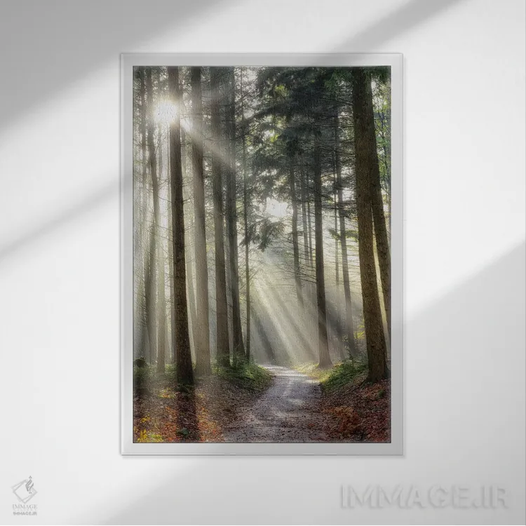 تابلو دکوراتیو پیچیدن به چپ می تواند درست باشد اثر لارس فان ده خور - نمای قابدار سفید